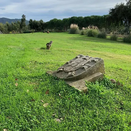 Da Fonte Seca * Ferreira do Zezere