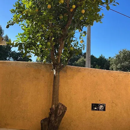 Da Fonte Seca Ferreira do Zezere