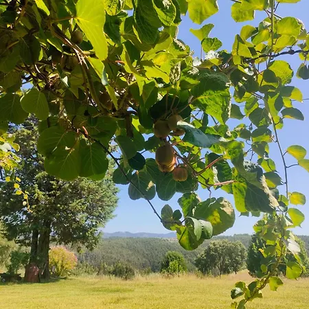 Da Fonte Seca Villa