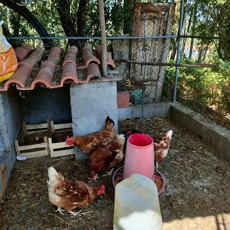 Da Fonte Seca