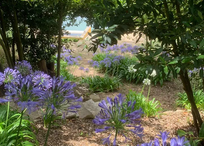 Da Fonte Seca וילה Ferreira do Zêzere