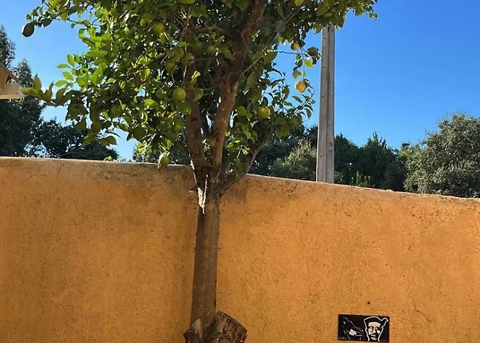 Da Fonte Seca Ferreira do Zêzere