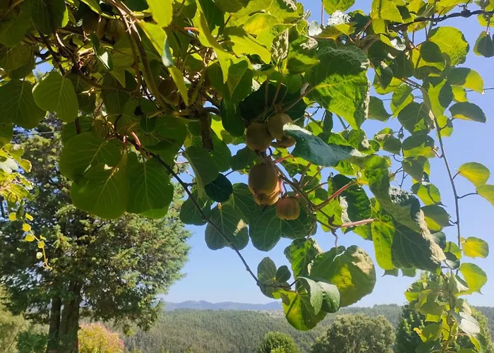 Da Fonte Seca וילה